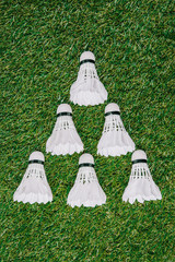 top view of white shuttlecocks for playing badminton arranged on green lawn