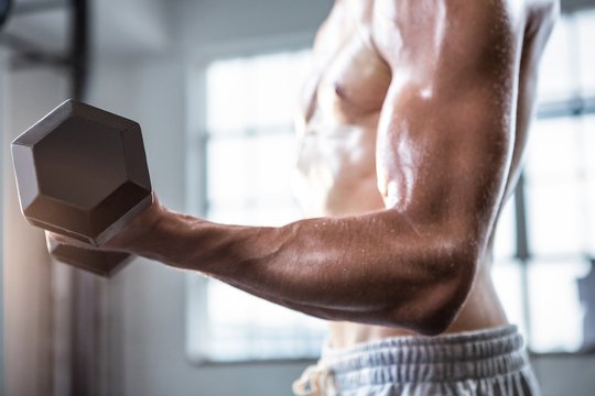 Fit Shirtless Man Lifting Dumbbells