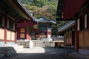 Obraz premium Bulgapsa Buddhist Temple