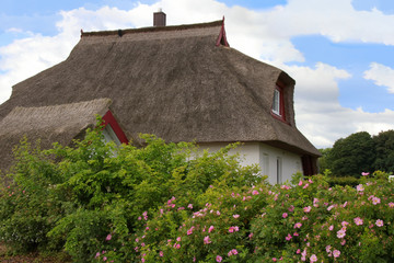 Fototapeta na wymiar Traditionelle Architektur, Reetdach Häuser, Insel Usedom, Ostsee, Deutschland 