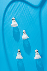 top view of white shuttlecocks and badminton racket shadow on blue backdrop