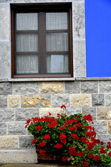 Fototapeta na wymiar window with flowers in classical facade
