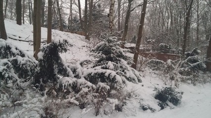 Berliner Park im Schnee