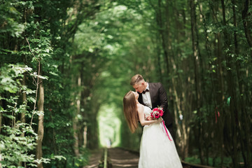 Happy wedding couple charming groom and perfect bride posing in park