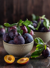Garden plums on table. Close up of fresh plums with leaves. Autumn harvest of plums.
