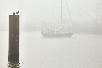 Hafen Hooksiel bei Nebel
