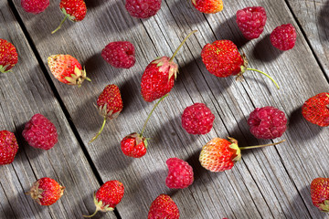 Background of natural fresh berries