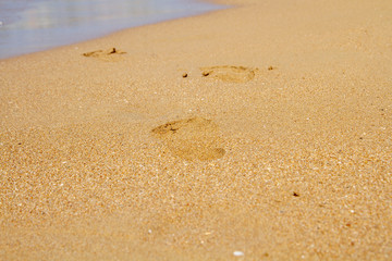 A path of human footprints in the sand leading to the sea. Traces of a man leading to the sea. The man left traces on the sand and went into the sea.