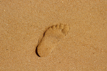 Fototapeta na wymiar Deep footprint with boneless edges on the wet beach sand. Background with the image of a person's footprint on coarse-grained wet sand. Background with a footprint of a person with space for text.