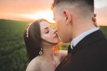 Wedding, Beautiful Romantic Bride and Groom Kissing  Embracing at Sunset