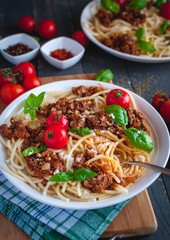 Italian spaghetti with tomato sauce, Parmesan cheese and fresh basil on top, on dark background