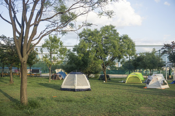 Tents on grass meadow camping park.