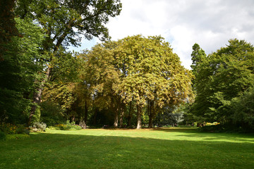 Fototapeta na wymiar Jardin du Luxembourg en été à Paris, France
