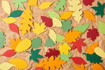 flat lay with colorful papercrafted foliage arranged on crumpled paper background