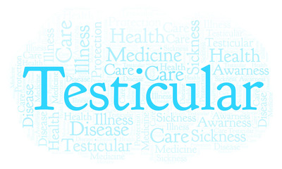 Fototapeta premium Testicular word cloud.