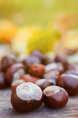 Close up of chestnuts
