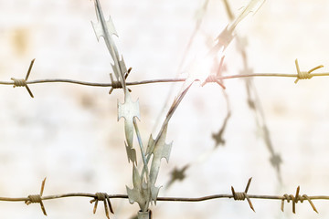 barbed wire on a blurred background