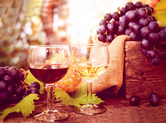 Red and white wine in wine glasses