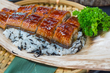Japanese Eel broiled with rice and sauces