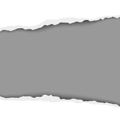 Obraz premium Snatched middle of white paper with torn edges, soft shadow and gray resulting background. Vector template paper design.