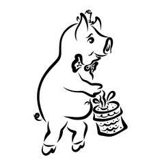 Romantic piggy gentleman in a hat and tie with a gift in his paw