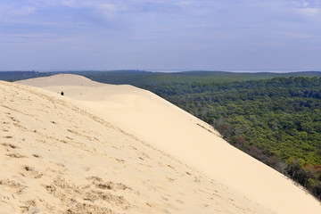 Famous Dune of Pilat and pine forest located in La Teste-de-Buch in the Arcachon Bay area, in the Gironde department in southwestern France - obrazy, fototapety, plakaty