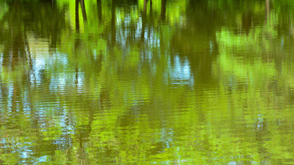 Fototapeta na wymiar abstract colorful of tree reflection on the water