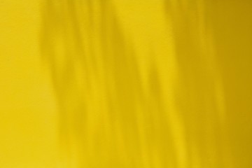 shadow of branches and leaves on yellow cement wall