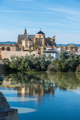 Obraz premium Mosque Cathedral of Cordoba in Andalusia, Spain