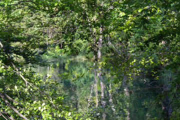 espelho da realidade