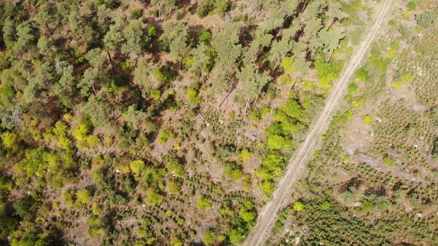Aerial drone shot of Dutch landscape at sunny day, tilt up