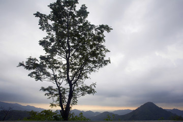 Landscape with tree taken from western ghats, India.