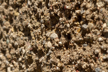 Stone texture of rock from shell and sandstone. Selective focus. Gray wall of sandstone with separate pebbles. Sharp texture of a wall made of stones.