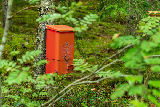 Brevl&aring;da inne i skogen