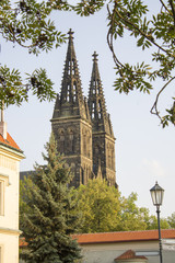 Basilica of St. Peter and St. Paul in Prague