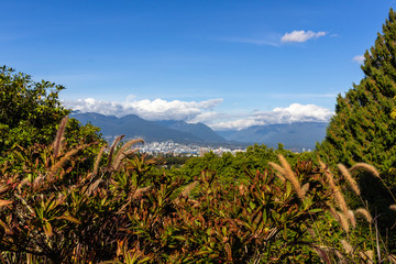 Fototapeta na wymiar Vancouver view from Queen Elizabeth Park, BC, Canada.