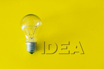 Bulb, concept of idea
