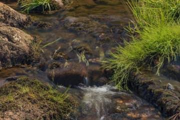 Rolava river in summer hot sunny day