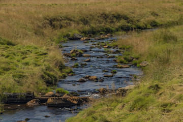Rolava river in summer hot sunny day