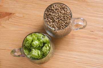 Cones of hops and pale caramel malt in glass mug, closeup. Ingredient in craft beer brewing from grain barley malt. Ale or lager from pilsner malt.