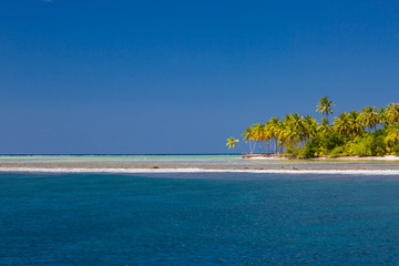 Look tropical beach under palm trees