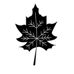 Maple Leaf Icon Isolated On White Background. Vector Illustration. Canada Maple Symbol.
