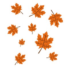 Autumn Falling Maple Leaves Isolated on White Background. Vector Illustration. Maple Leaves Pattern.