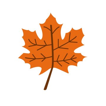 Flat icon brown maple leaf isolated on white background. Vector illustration.