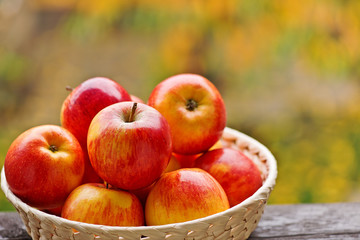 Red apples in the basket in garden