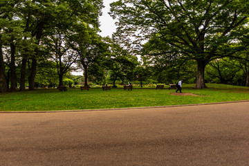 代々木公園