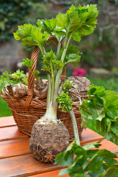 Celery and wicker basket with root vegetable.