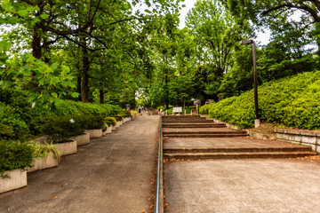 Fototapeta premium 代々木公園