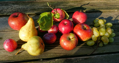 Still-life consisting of multicolored fresh fruit of apples, pears, grapes, plums on an old wooden board. Bright sunlight on fruits