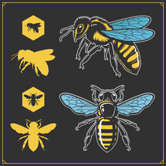 Set of honey emblems and design elements. Honeycombs, bee silhouettes.